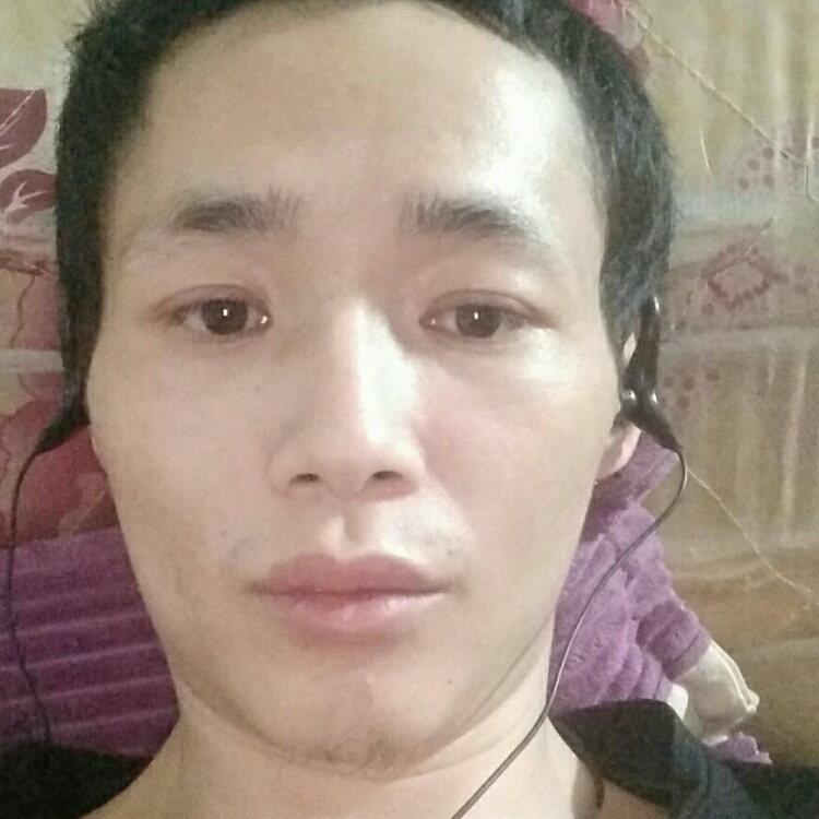 要爱就爱灰太狼