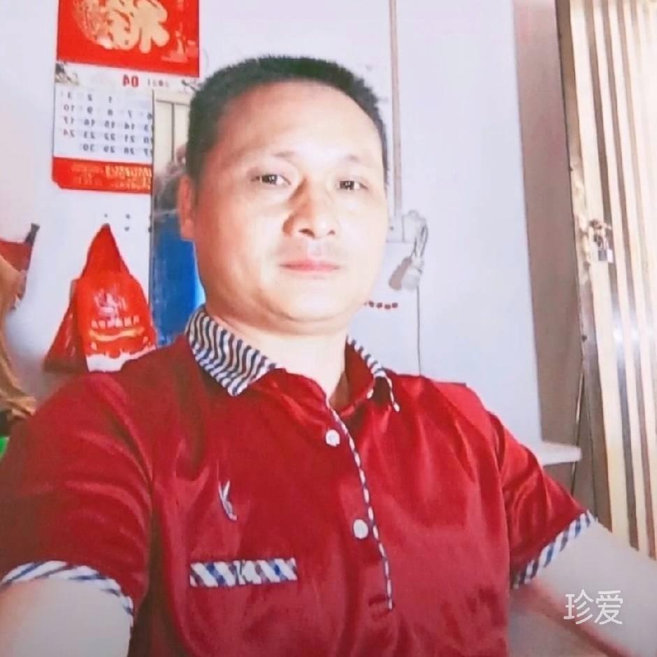 醉书流年