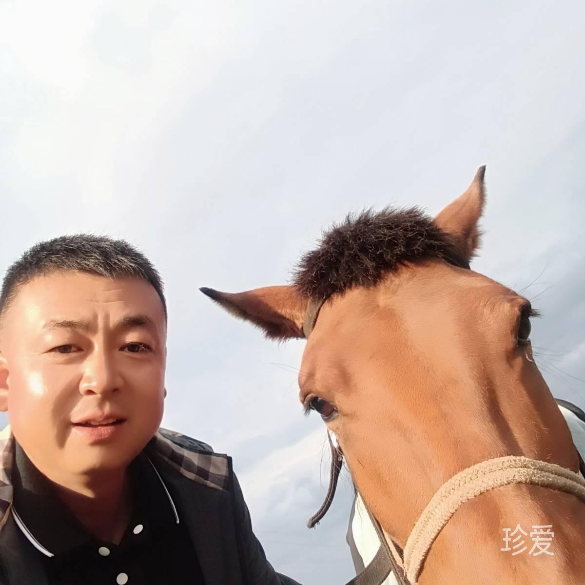 冬雪一鸣
