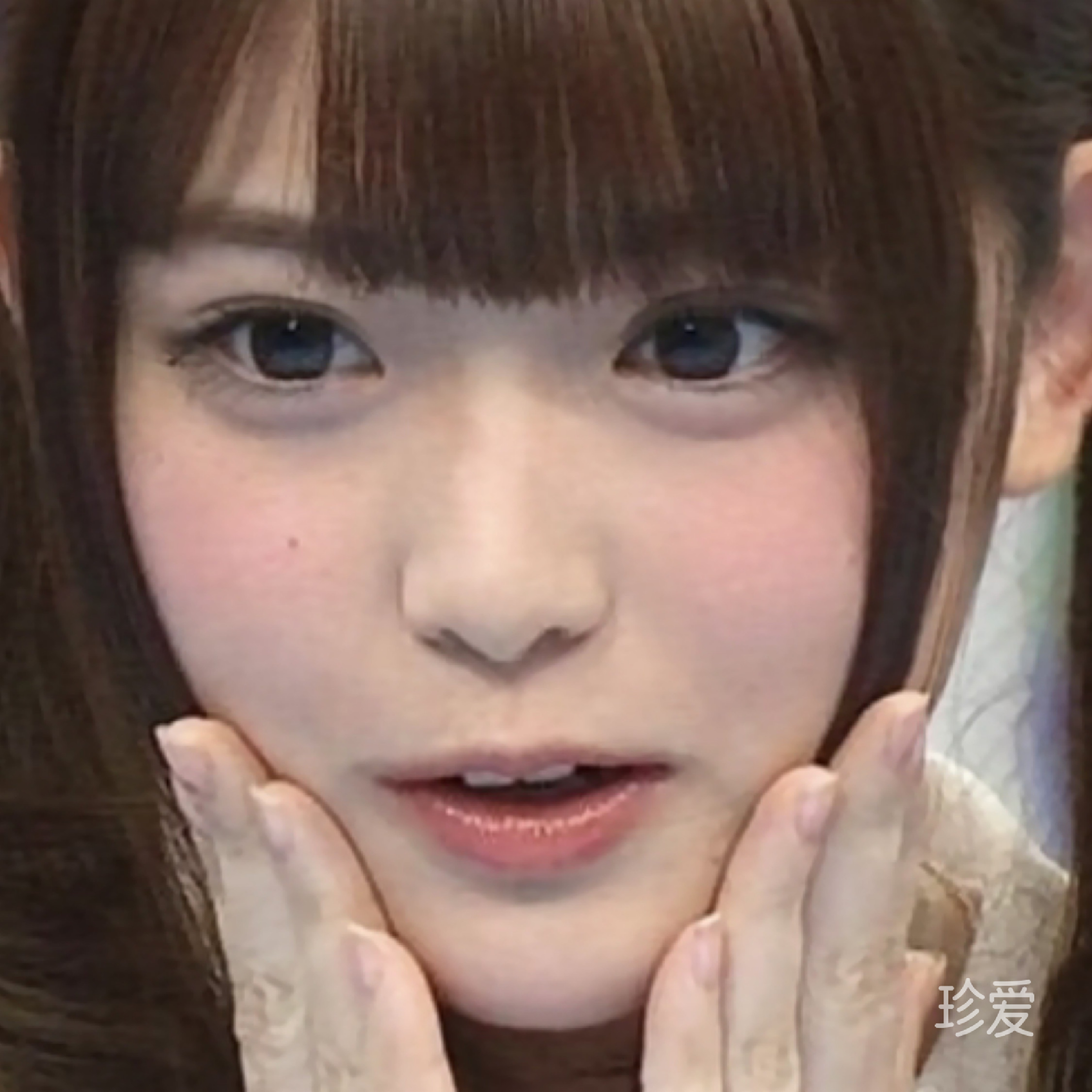 七七饭