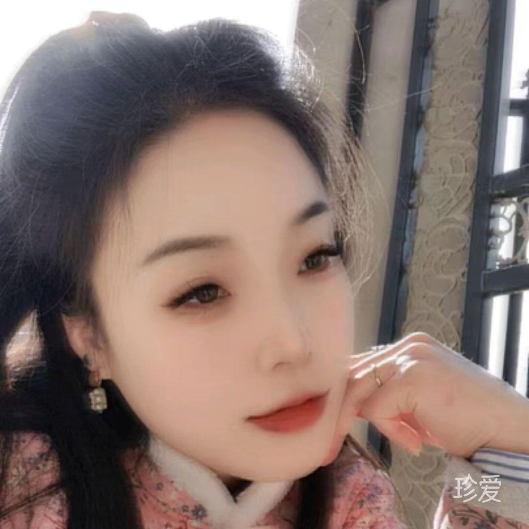 海边的猫
