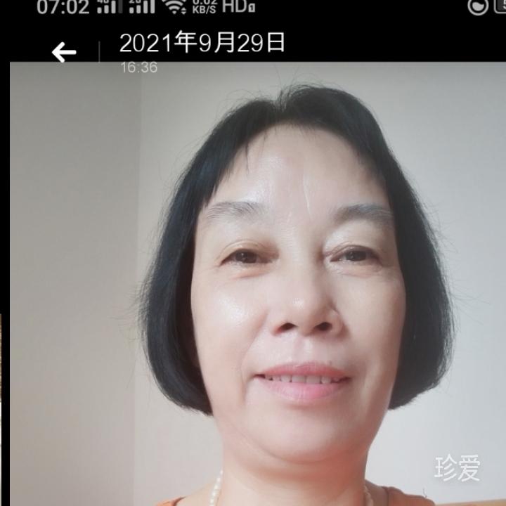 春上春树