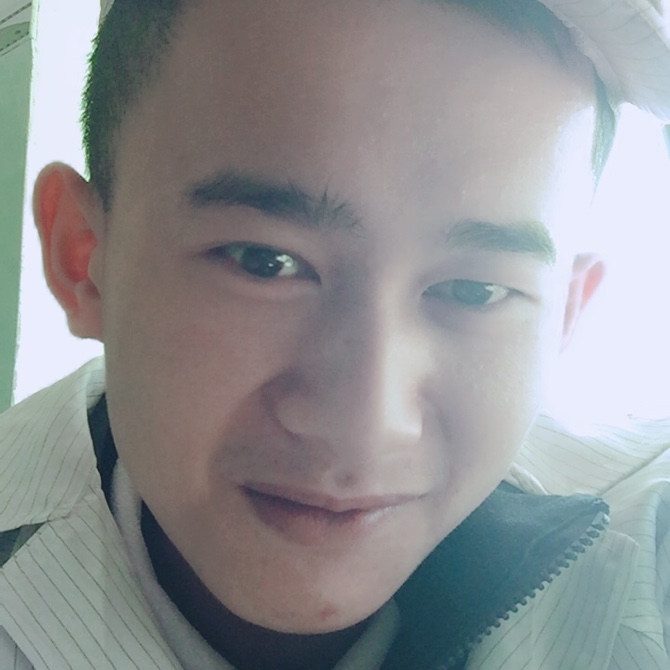 路与猫