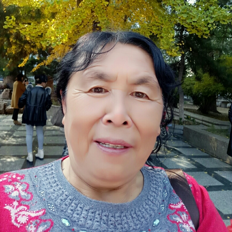 鱼寻大海