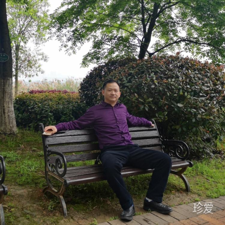 听雨品茶
