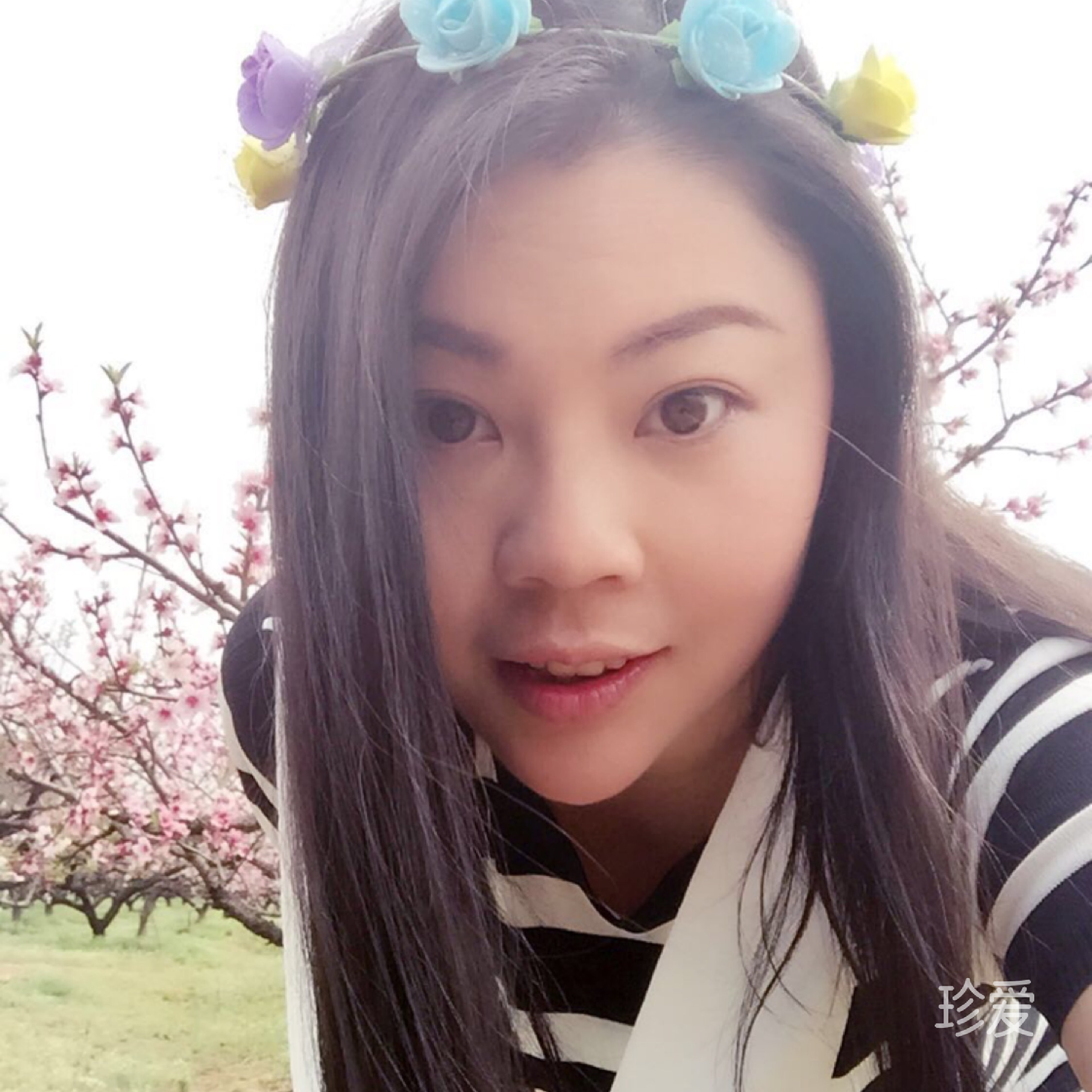 拾光静好