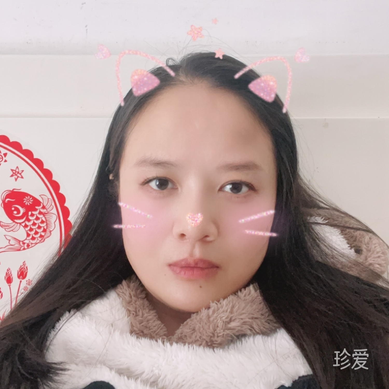 小美人菲
