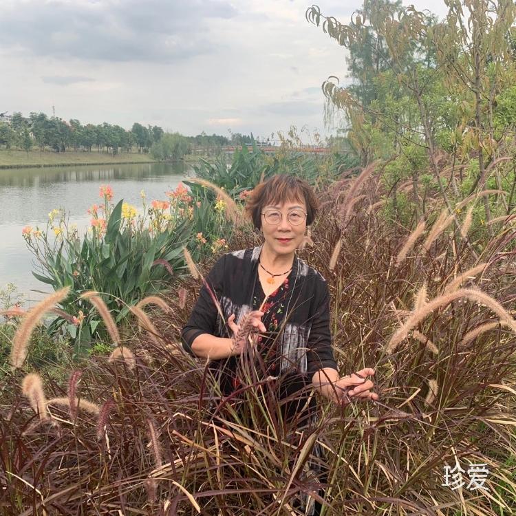 花开有声