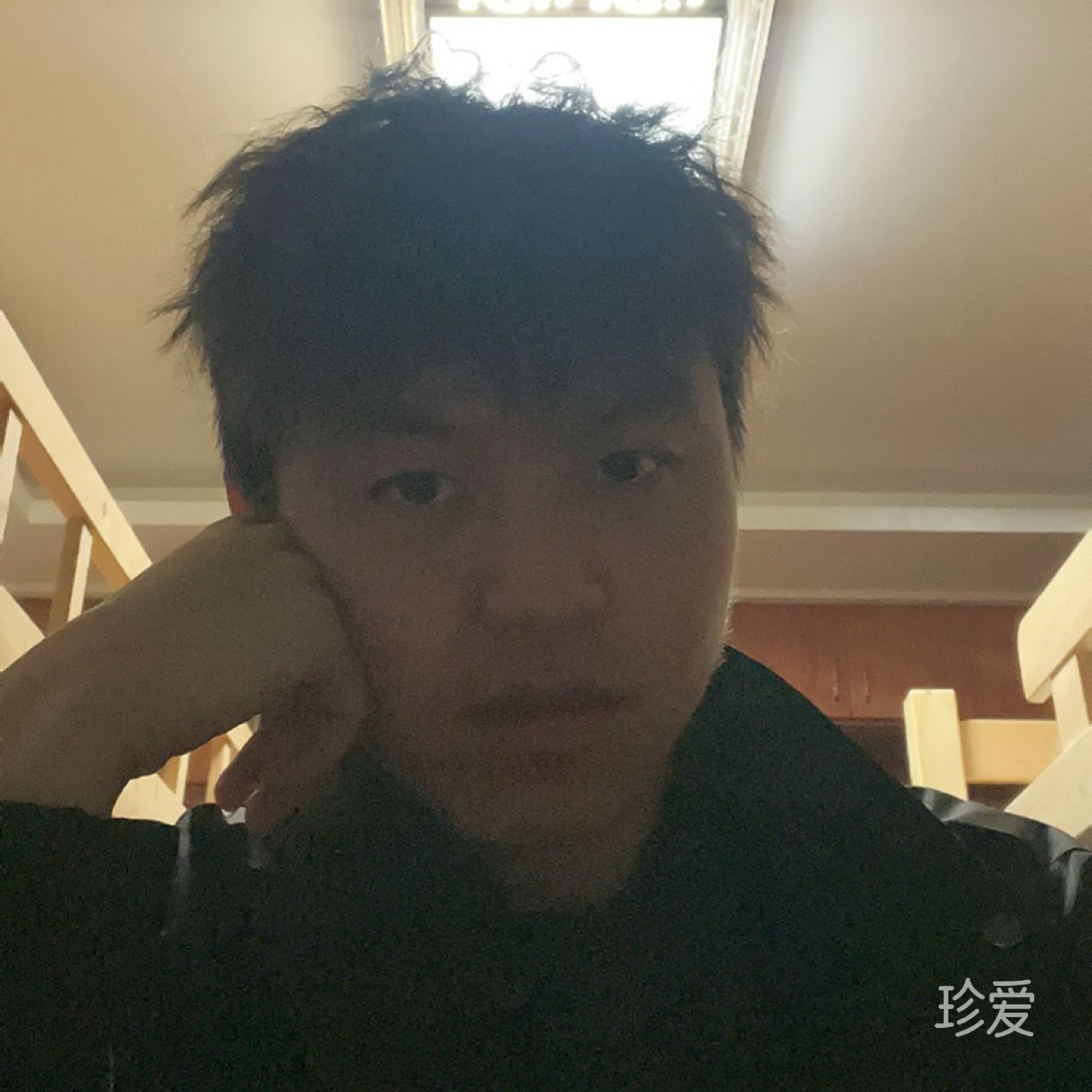 落单的候鸟