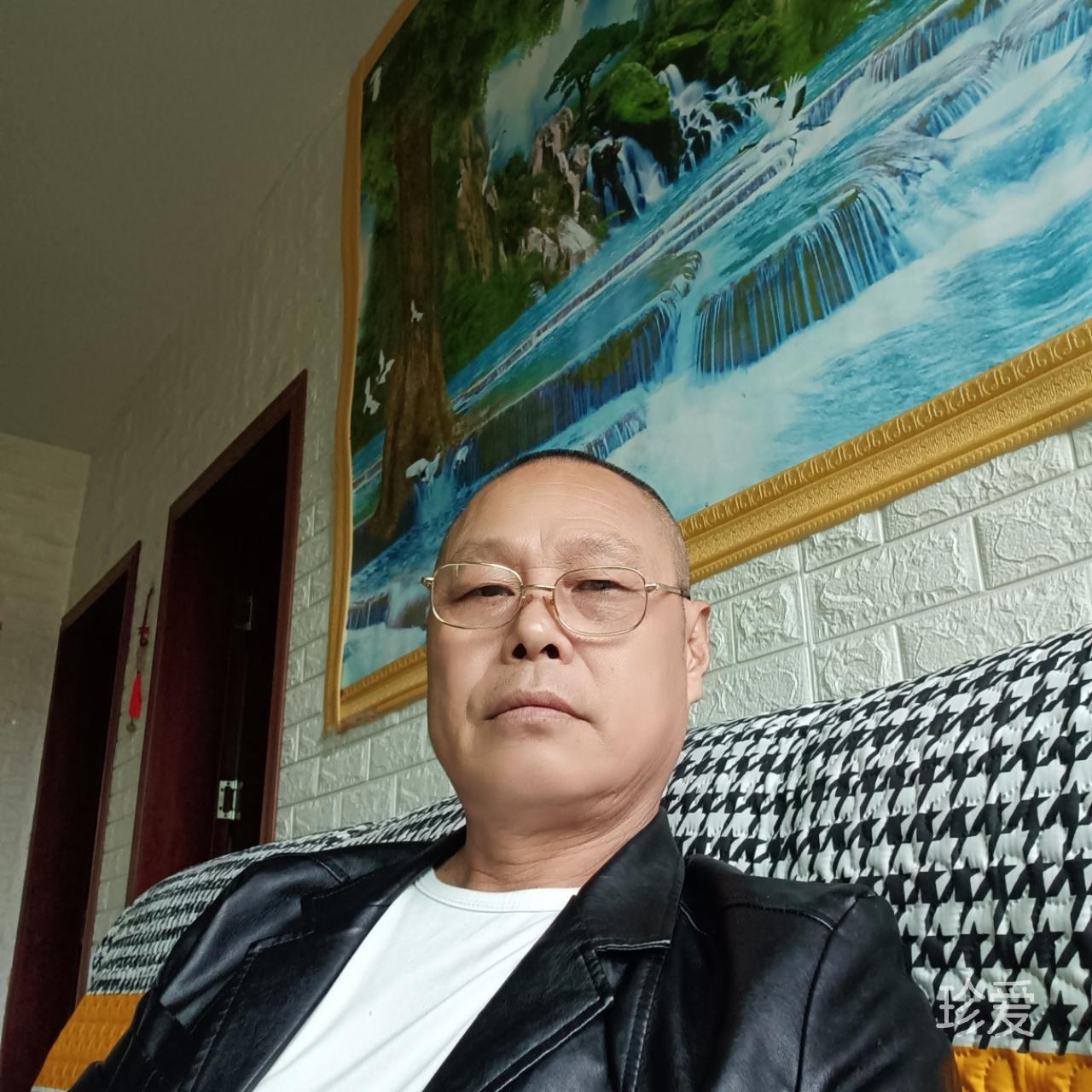 森林