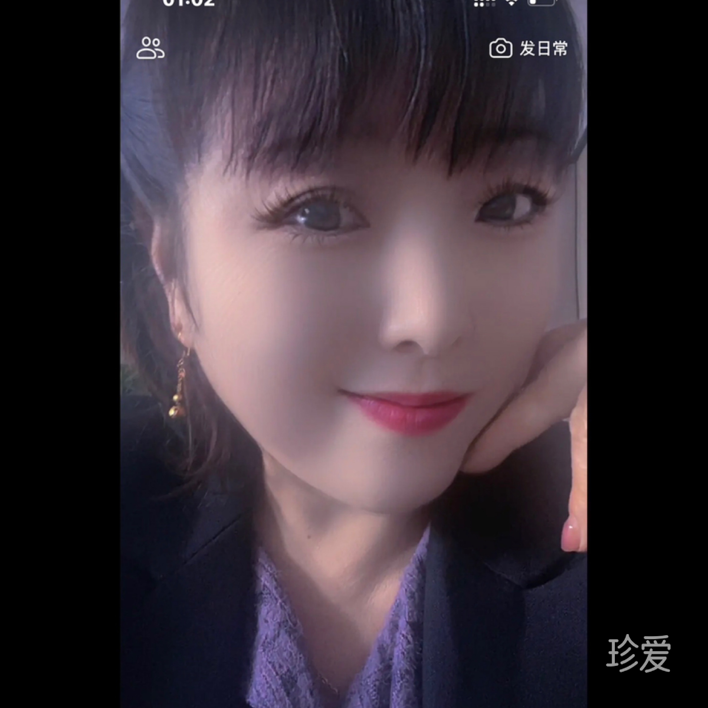 粉玫瑰