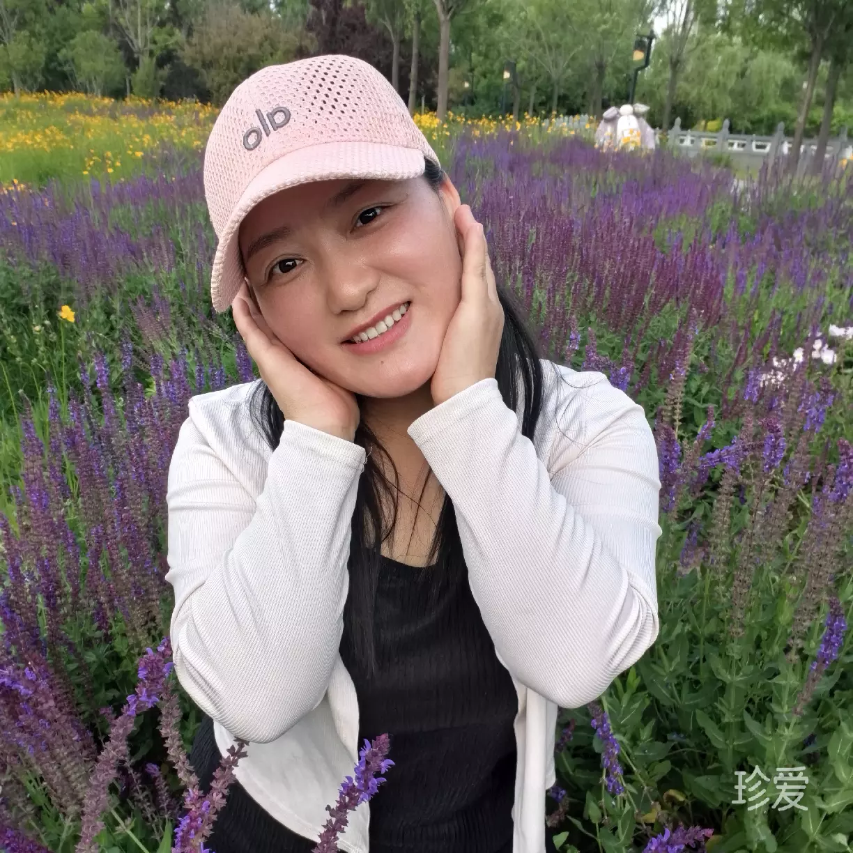 喜欢阳光