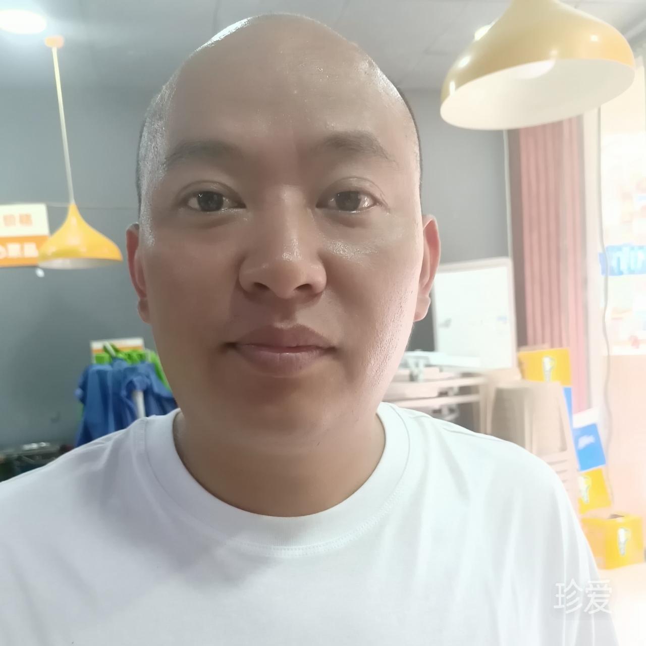 綠楊柳尋找真愛