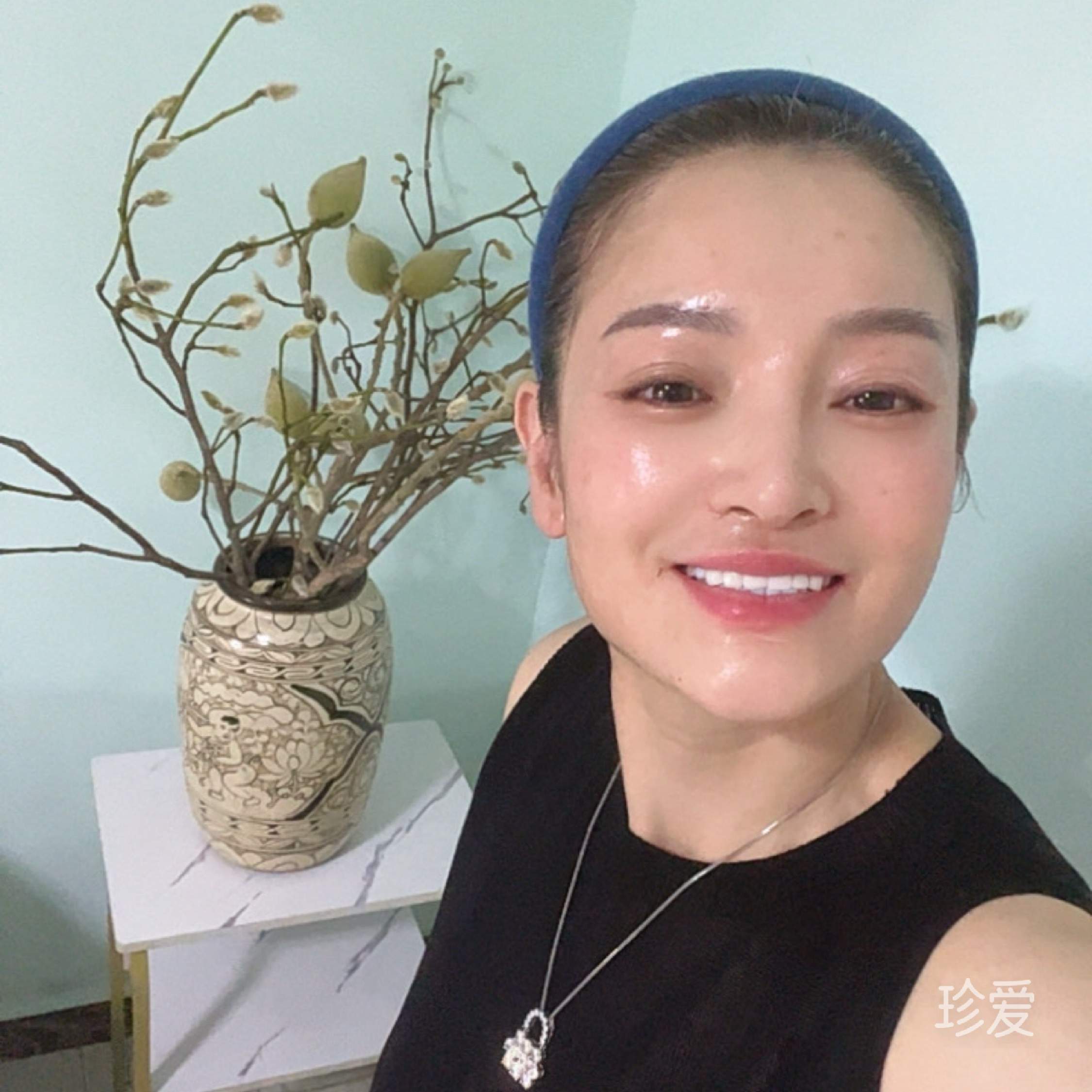 扶摇直上