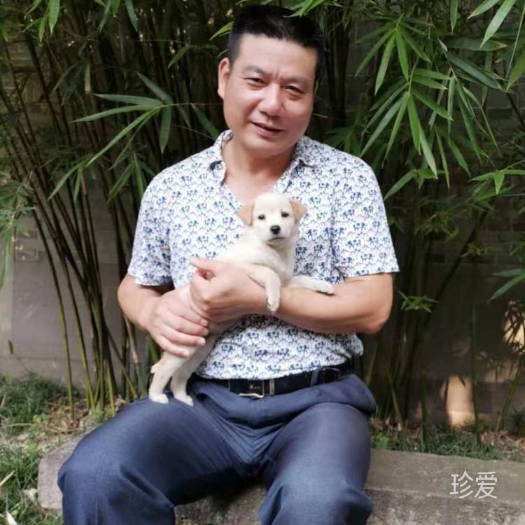阿清风
