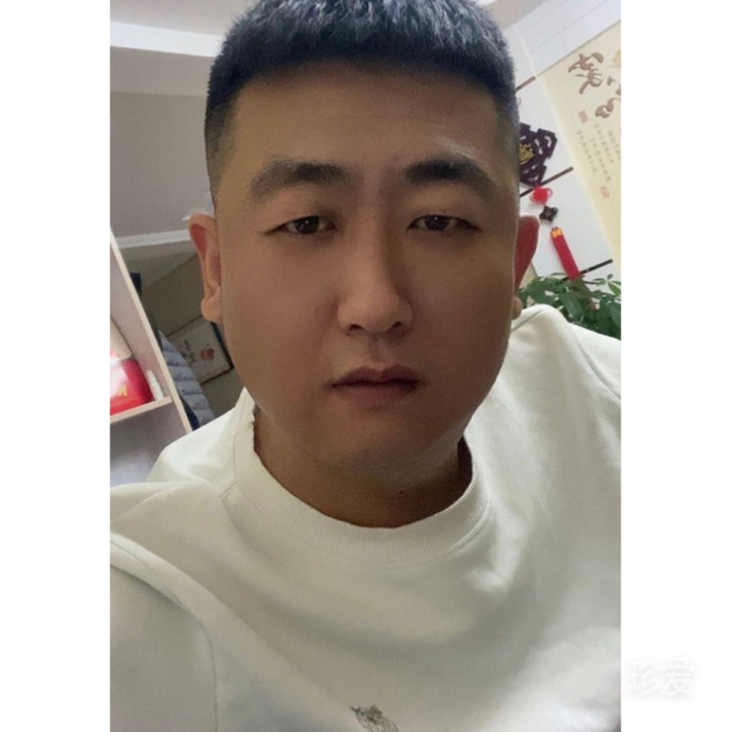 心如花木向阳生