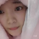 尋愛(ài)的小鳥