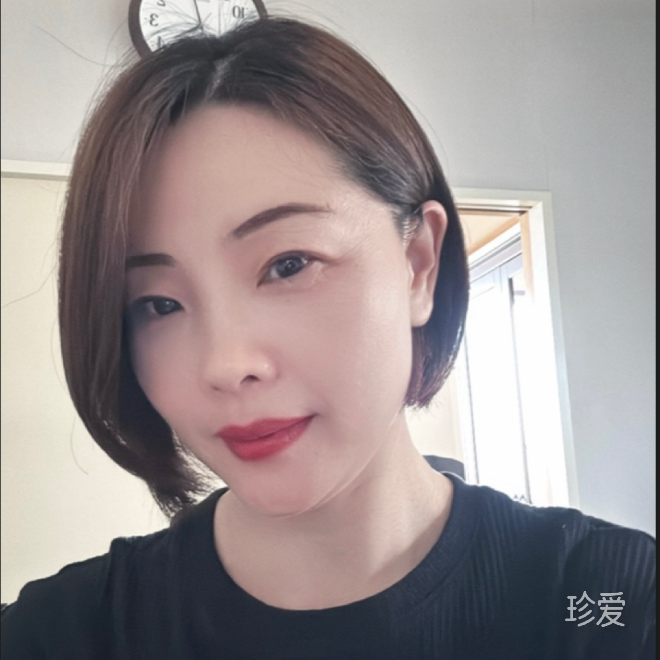 一枝梅
