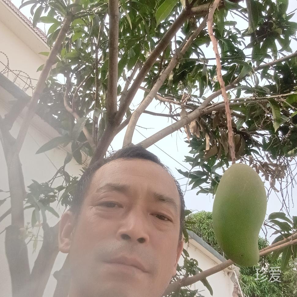 天使在吗