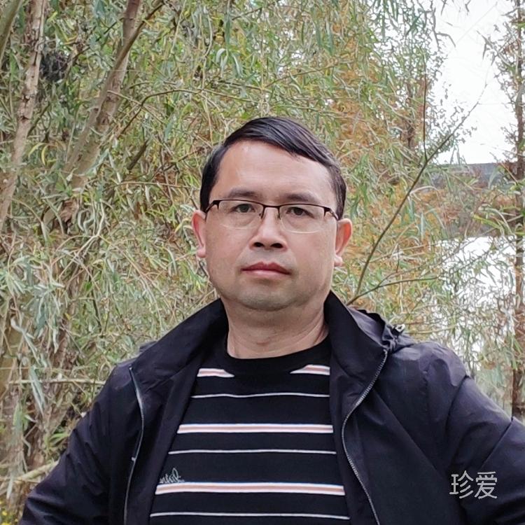 风中的画笔
