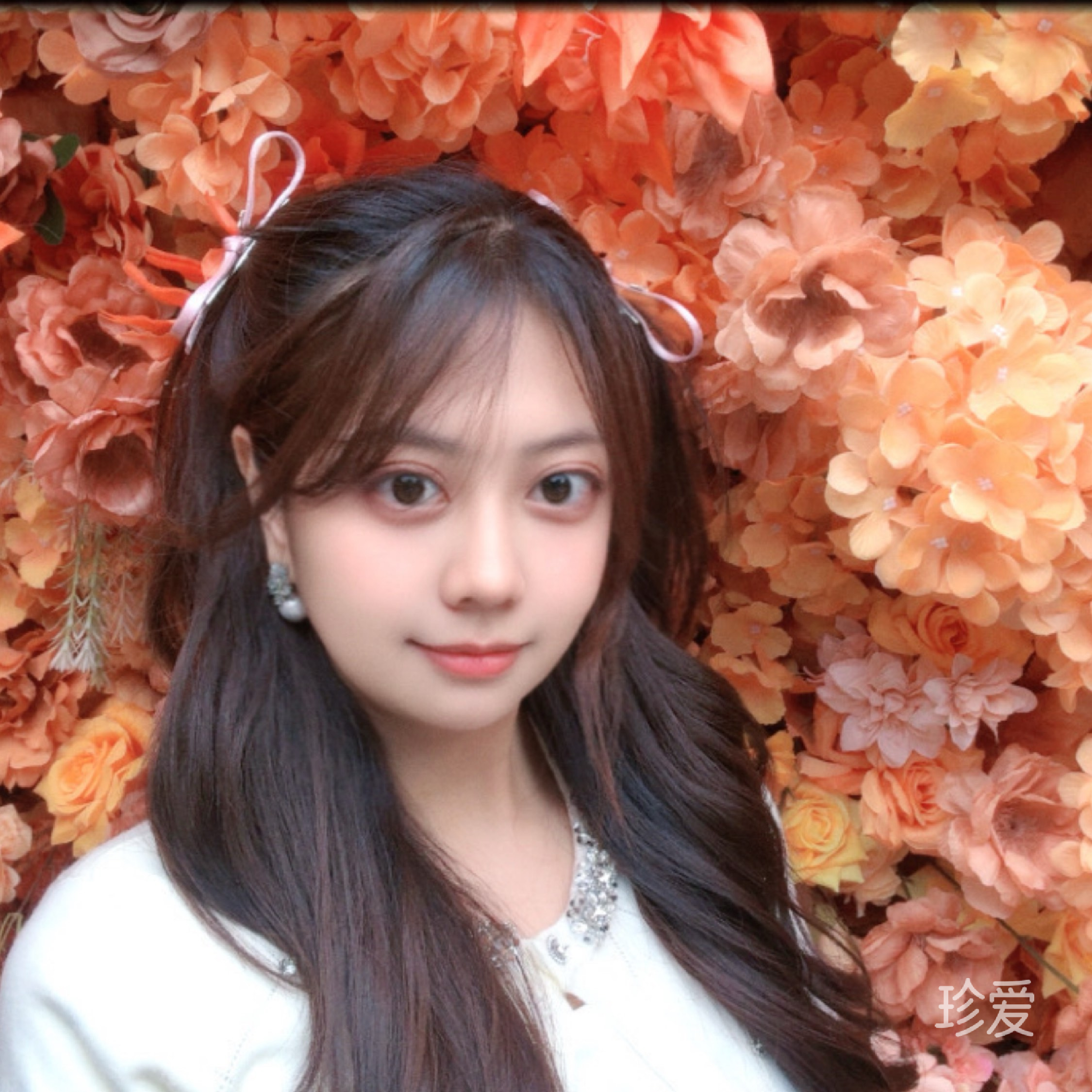 昭昭如愿