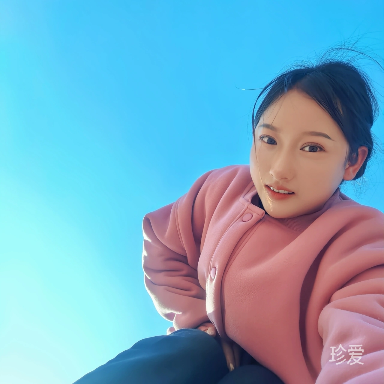 梧桐