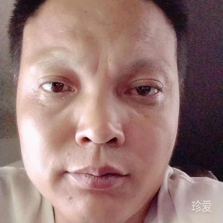 无名草原狼