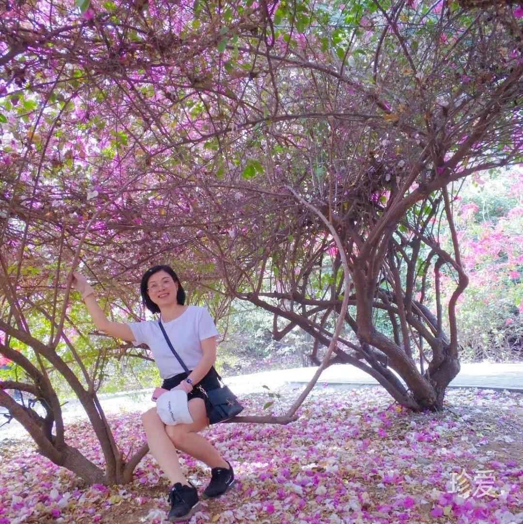 一個(gè)人看海