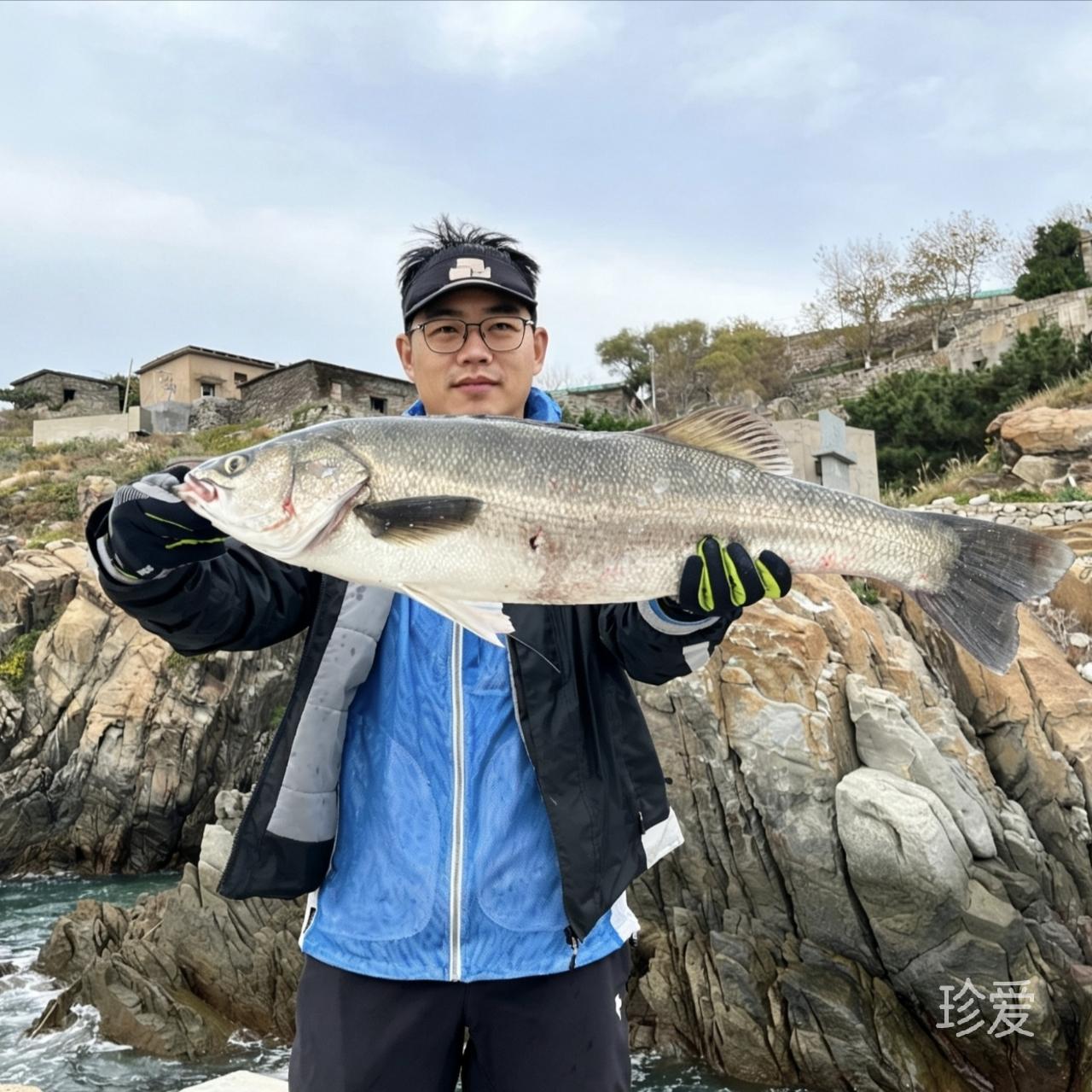 豆子丸