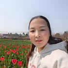 風(fēng)中的等候