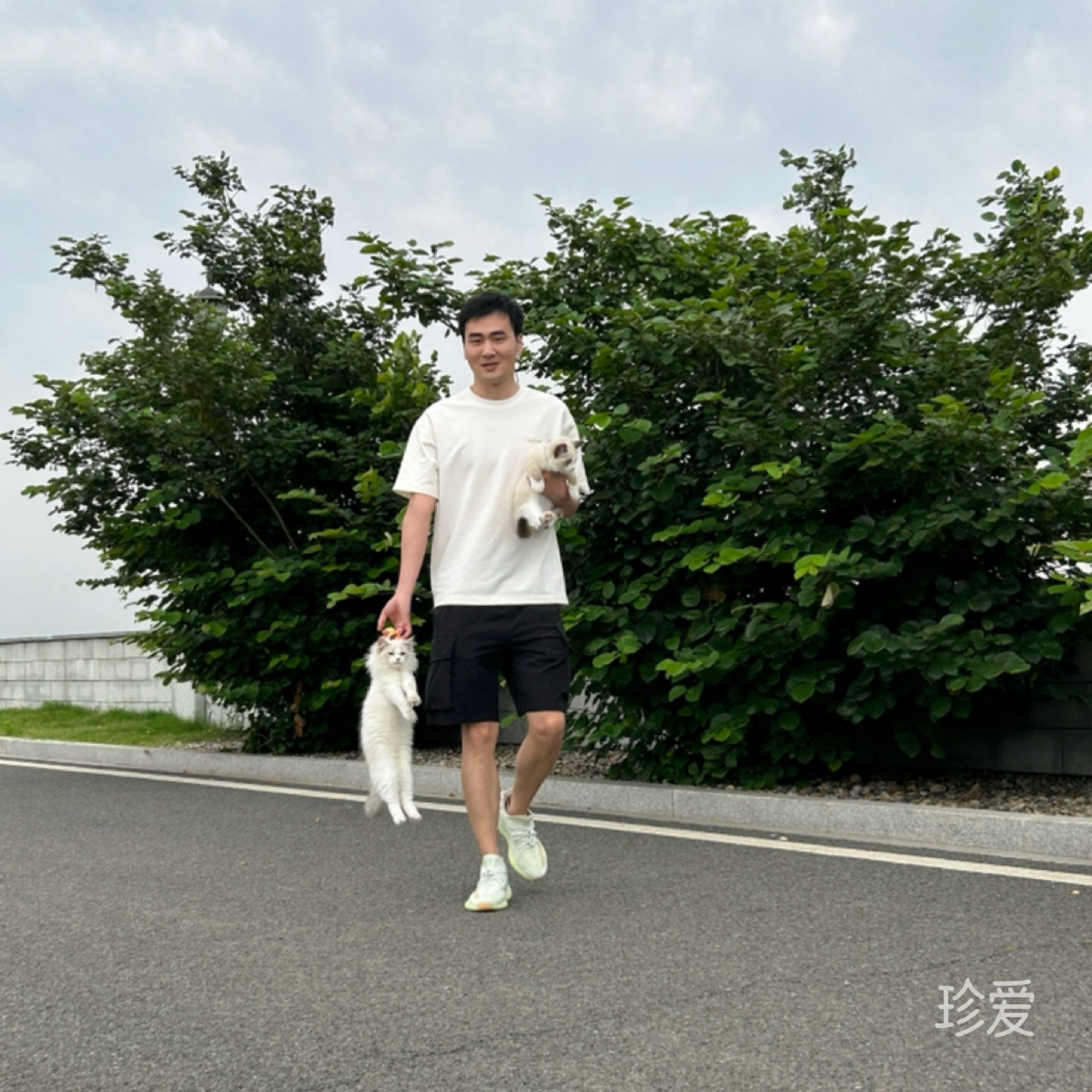 马雷
