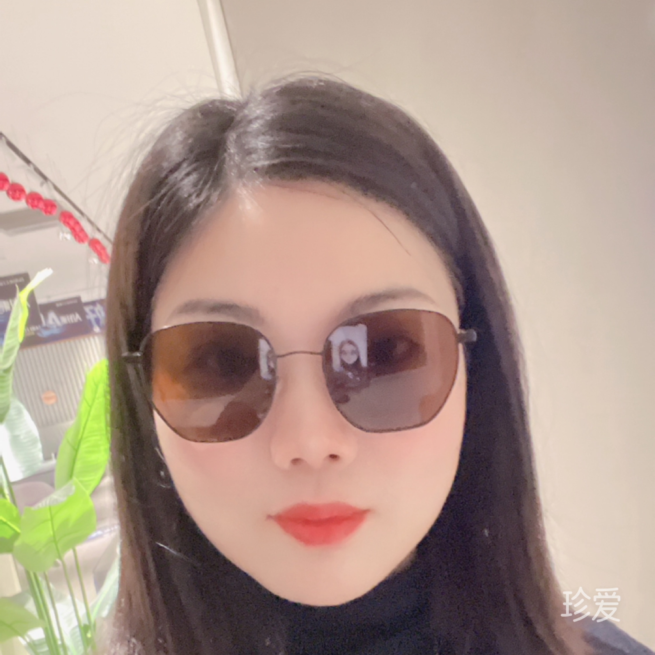 蔷薇