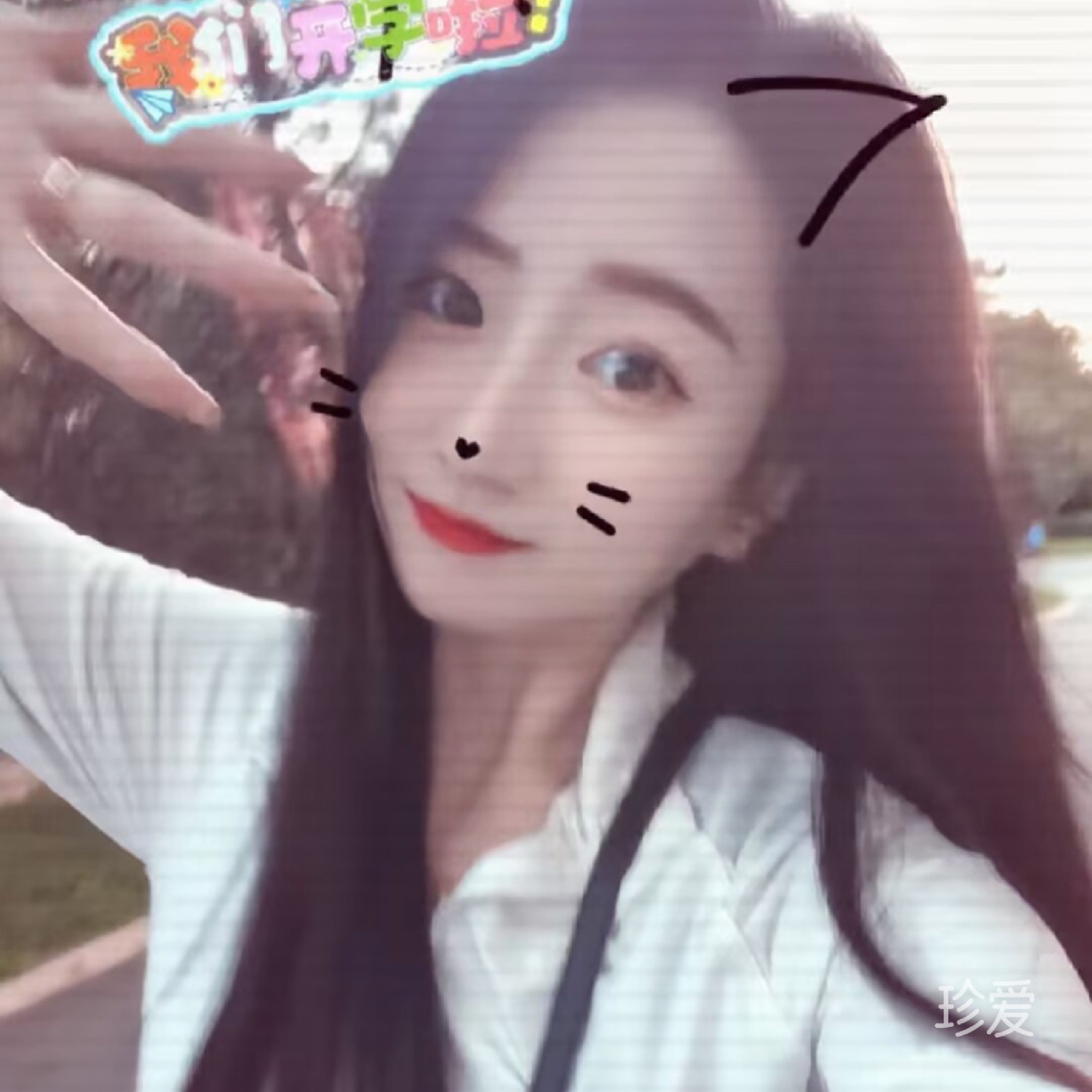 一壶明月光