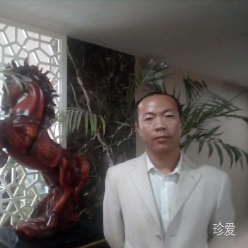 趴在墙头等