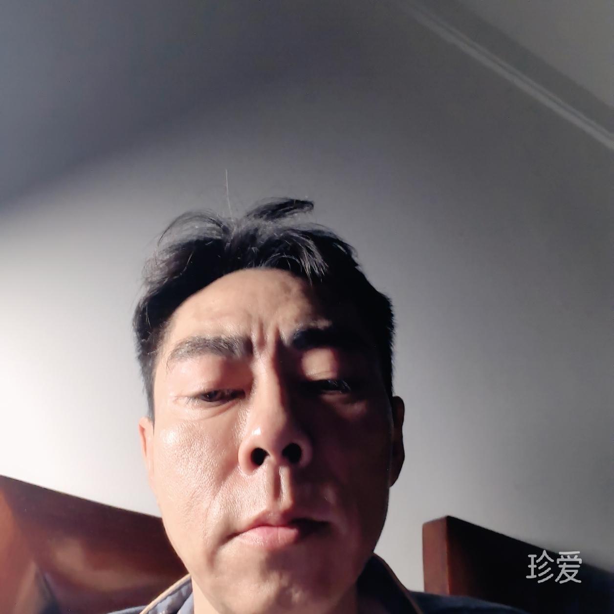 龙啸天下