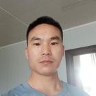 隨意而安