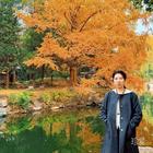 一個(gè)人的寧?kù)o