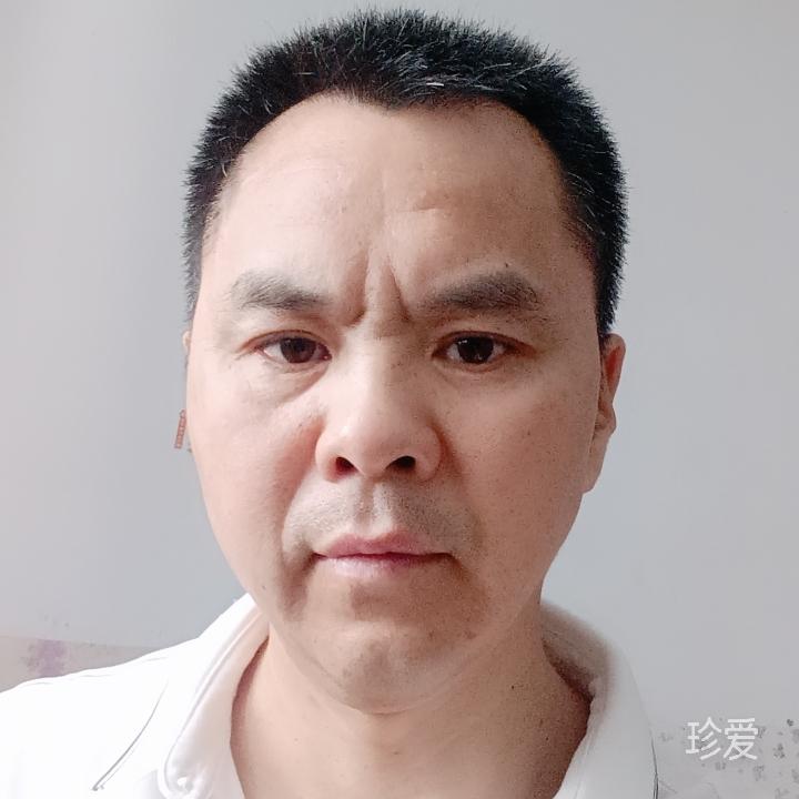 枫叶