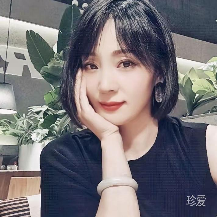 阳光下的海鸥