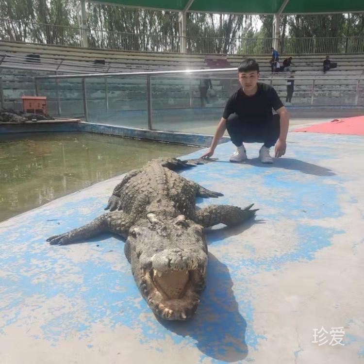 風(fēng)的感覺了