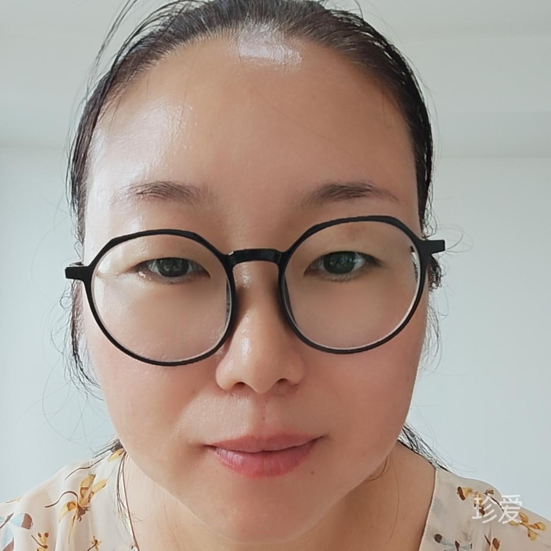 海边漫步的猫