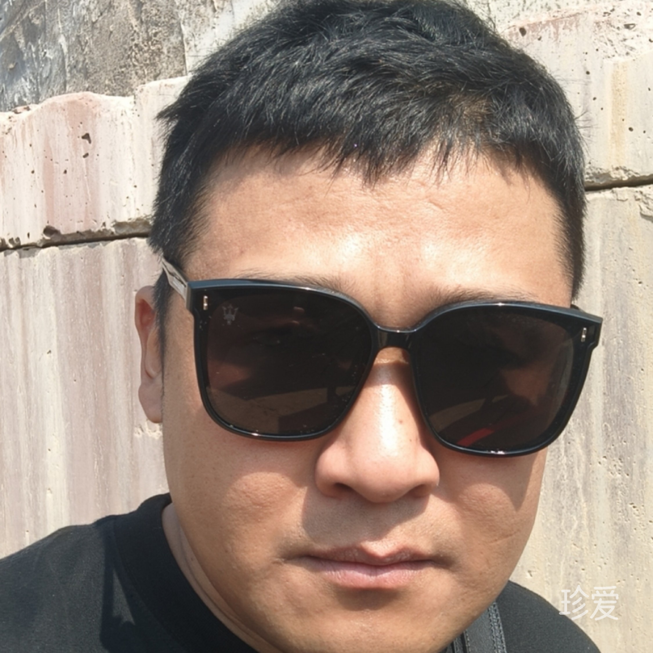 随缘鸿影