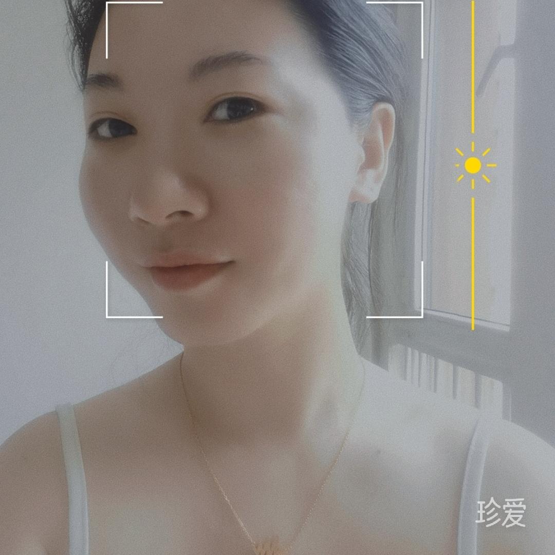 毛毛虫