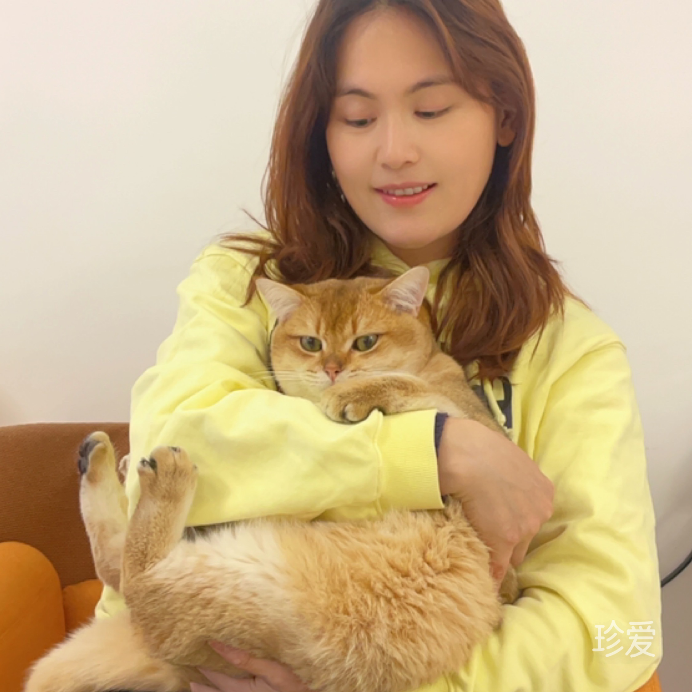 一路生花的凱淳