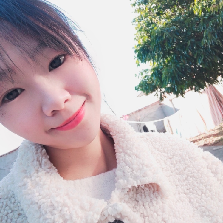 風(fēng)雨中的一棵小草