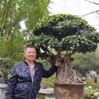 微風(fēng)拂面