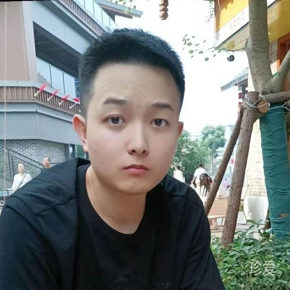 听风的鸟