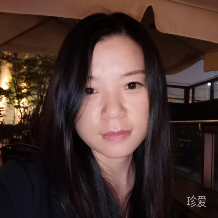 迷失的猫