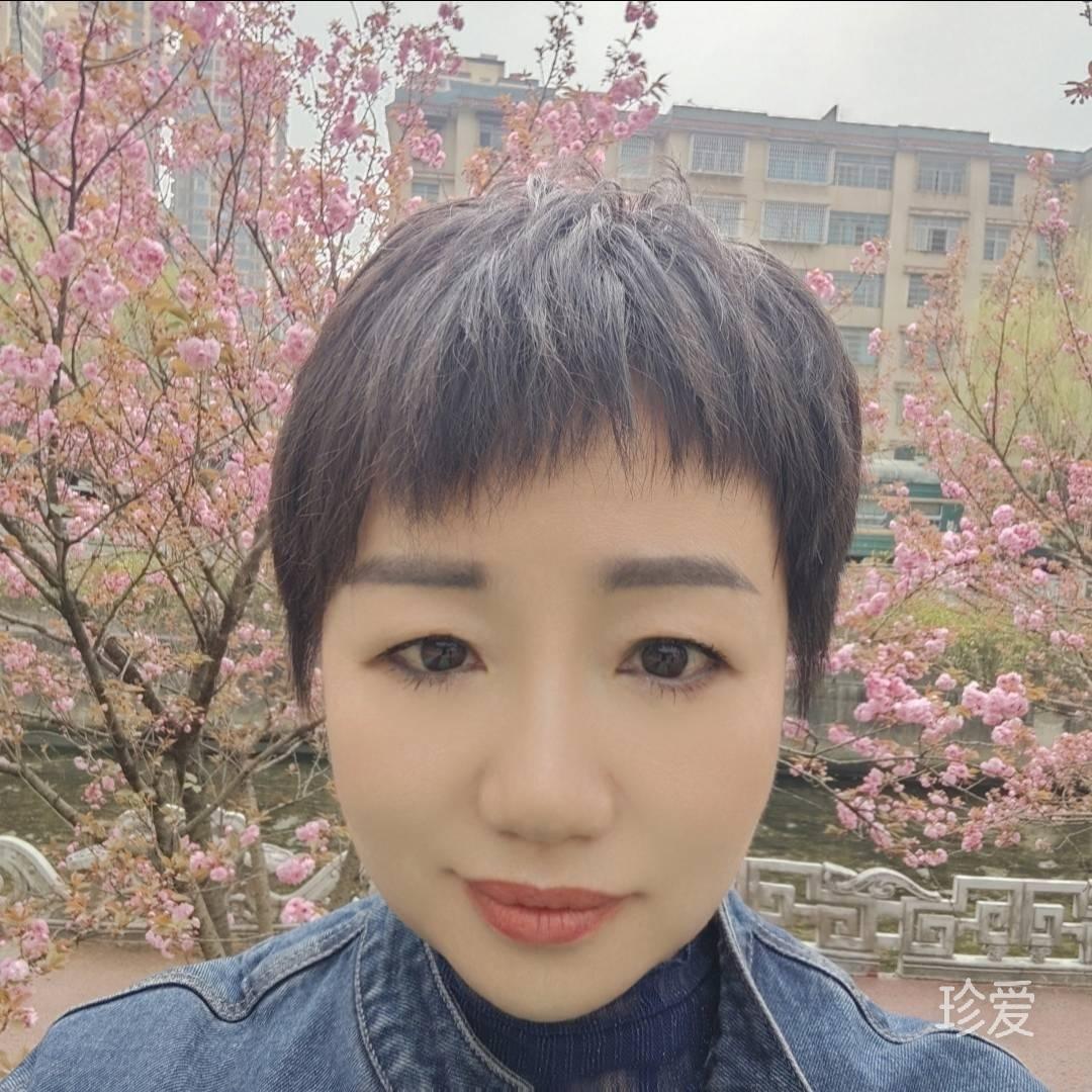 兰栖晚晴
