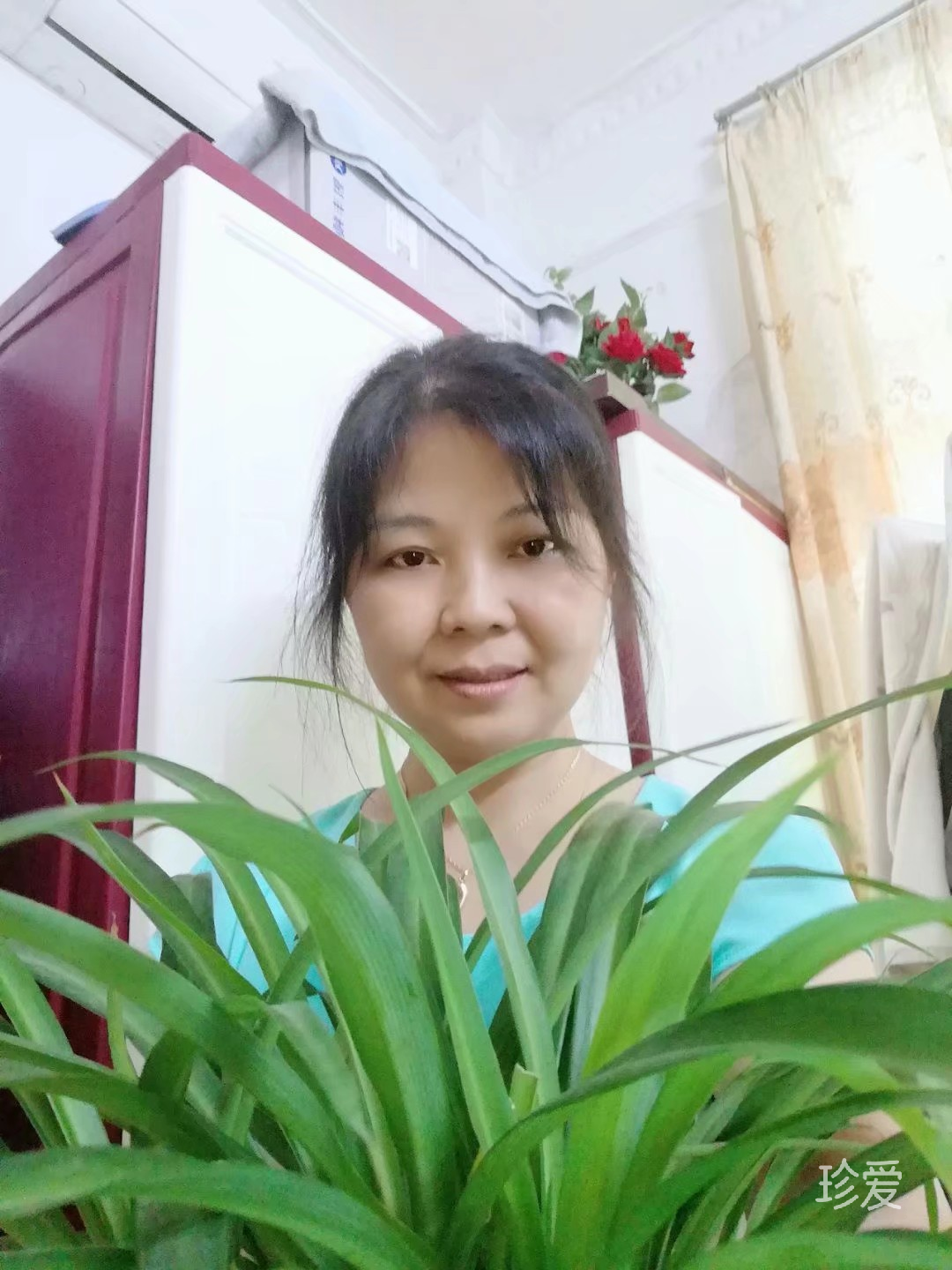 飘摇的落寞